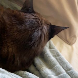 Meet your Posher, Rhonda